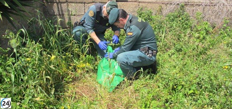 Detienen en Tegueste a sospechoso por el asesinato de un perro en un caso de maltrato animal.