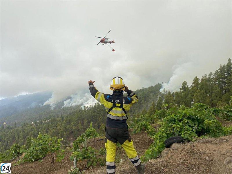 Canarias lanza su operación de prevención de incendios forestales con 2.000 profesionales y un amplio despliegue de recursos.