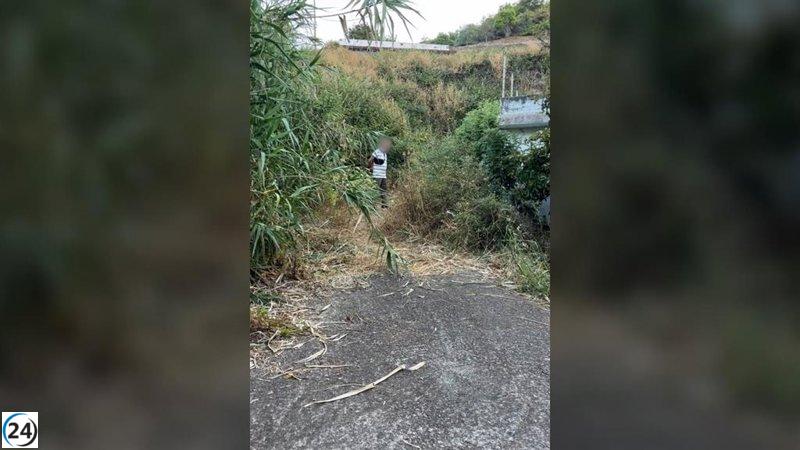 Arrestan a un individuo por planear un incendio forestal en Moya, Gran Canaria.