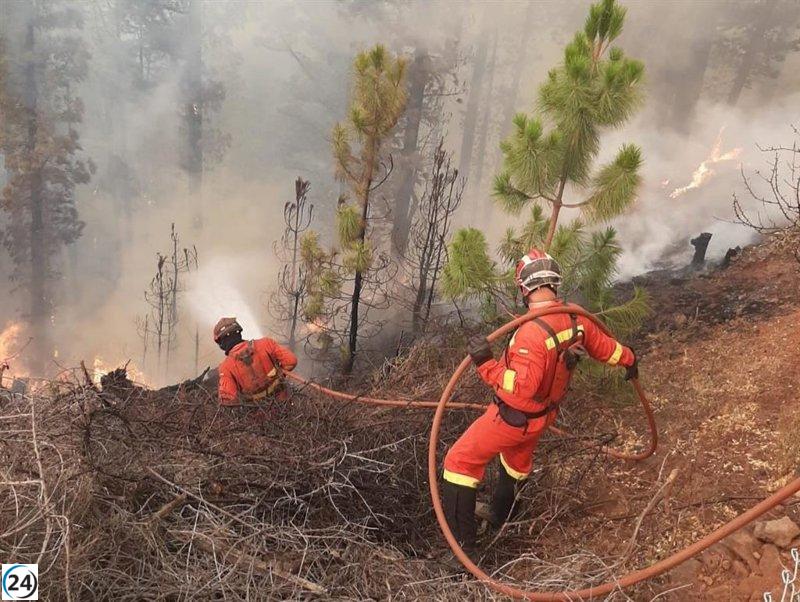 Gran Canaria declara alerta por riesgo de incendios forestales desde este domingo.
