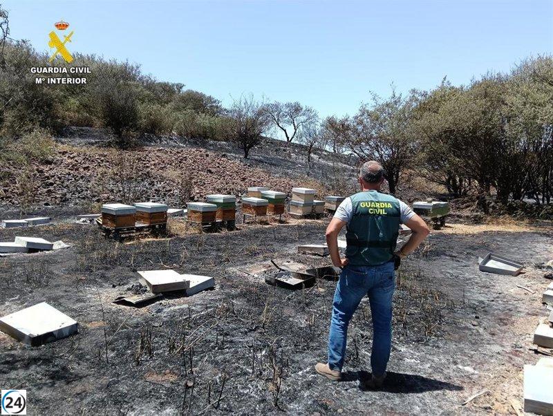 Detienen al sospechoso del incendio en El Tanque, Tenerife, ocurrido el 28 de julio.