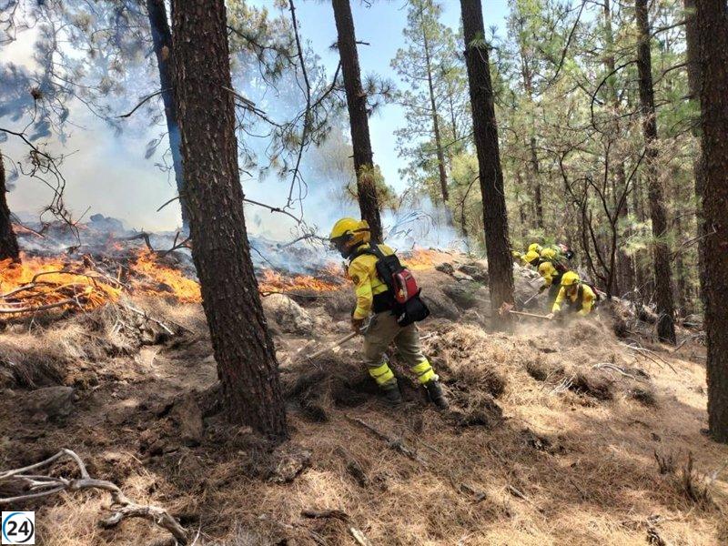 Islas occidentales y Gran Canaria en máxima alerta por peligro de incendios forestales.