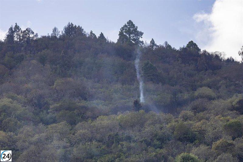Canarias activa alerta por peligro de incendios forestales en cinco islas.