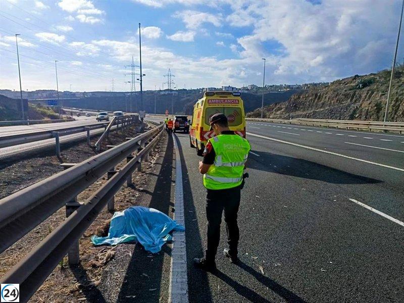 La Policía Canaria indaga sobre el emú atropellado que provocó un accidente en Gran Canaria.