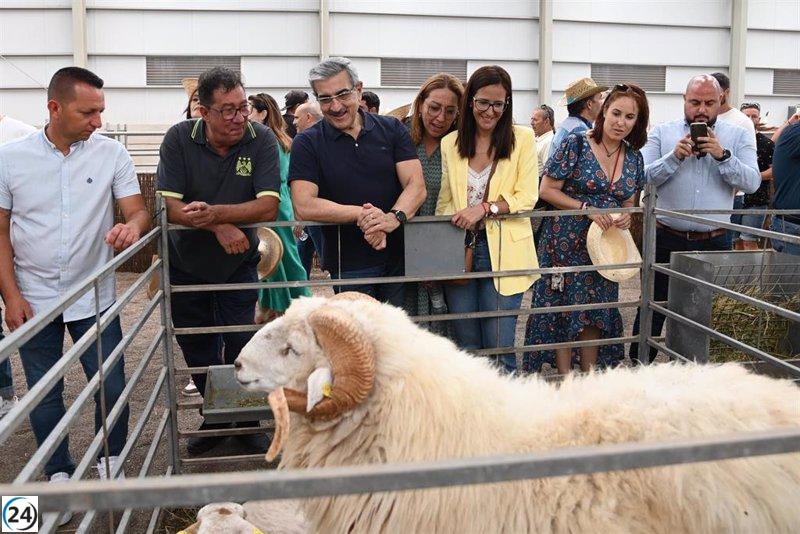 Román Rodríguez (NC) promete alivio a la ganadería por 60 millones.