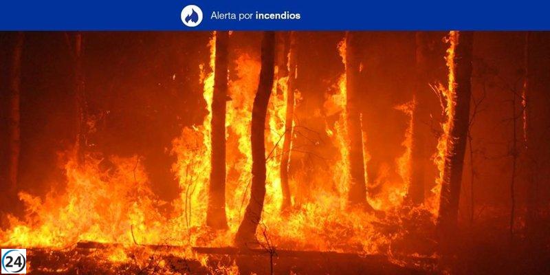 Canarias eleva alerta máxima por incendios forestales desde miércoles
