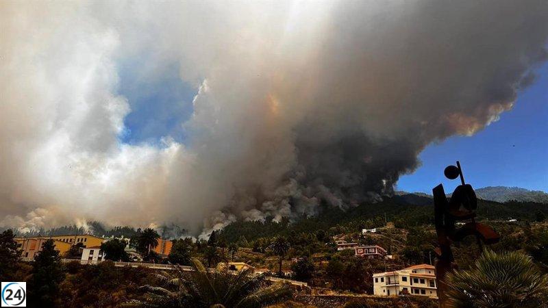 El incendio de Puntagorda (La Palma) afecta a 2.000 hectáreas y genera focos secundarios.
