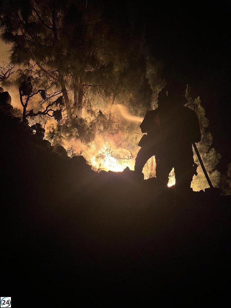 El clima mejora y favorece avance positivo del incendio de Puntagorda (La Palma)