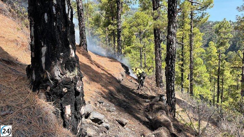 El fuego en La Palma ahora controlado, más de 2.900 hectáreas afectadas.
