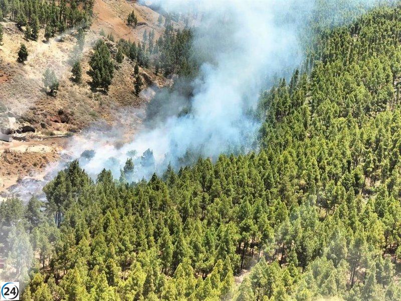 El incendio en Tejeda (Gran Canaria) controlado en un 95%, abarca 400 hectáreas.