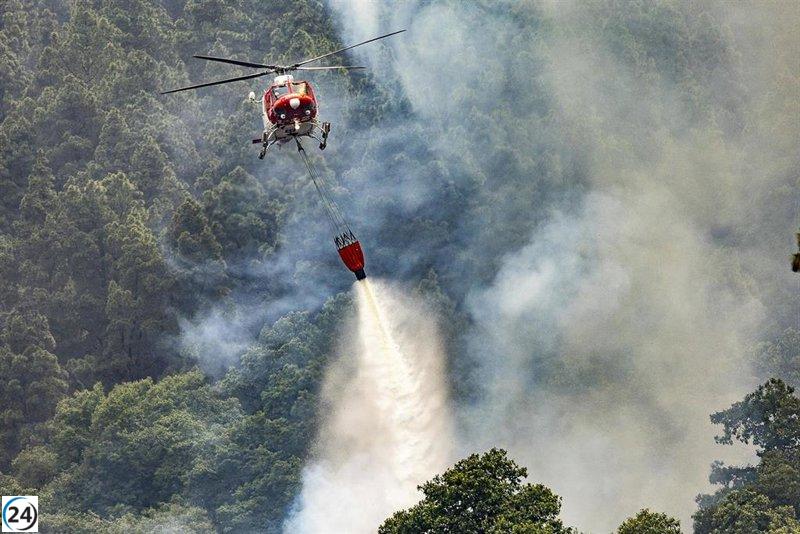 Altas temperaturas amenazan con reactivar incendio forestal en Tenerife