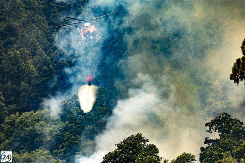 Continúa la situación estable del incendio de Tenerife, con