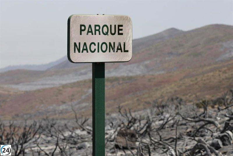 El incendio arrasa 1.000 hectáreas del Parque Nacional del Teide y causa daños irreparables en la retama.