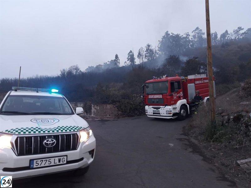 Más de tres mil doscientas personas evacuadas mientras el incendio en Tenerife arrasa 30 hectáreas.