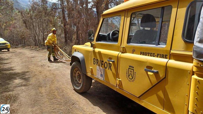 Sin reactivaciones destacables, la noche en el incendio de Tenerife transcurrió en calma.