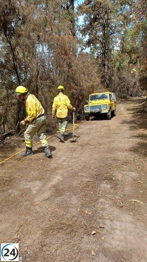 La noche pasa sin avances en el área afectada por el incendio de Tenerife.