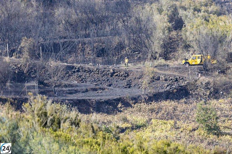 Las zonas de Las Calderetas, Campo de Tiro y Carril del Polvo son desalojadas nuevamente debido a la reaparición del incendio en El Sauzal.