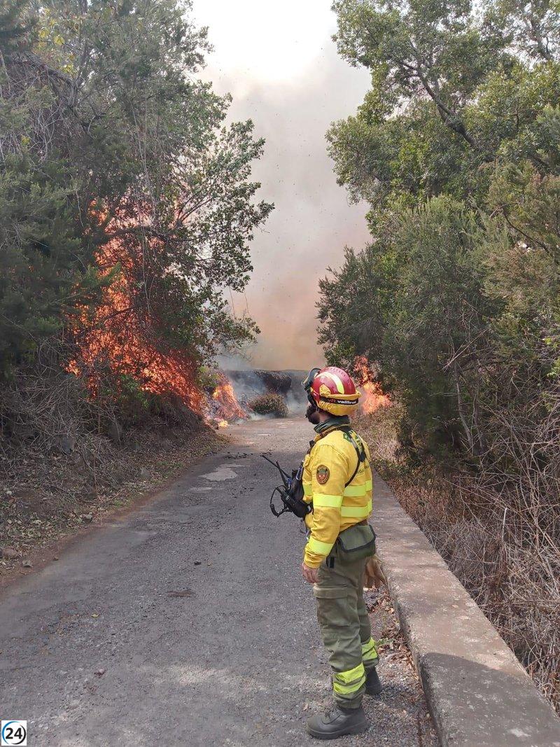 El enfoque de los equipos de extinción en el incendio de Tenerife se dirige hacia Mamio, Las Charquitas y Ravelo