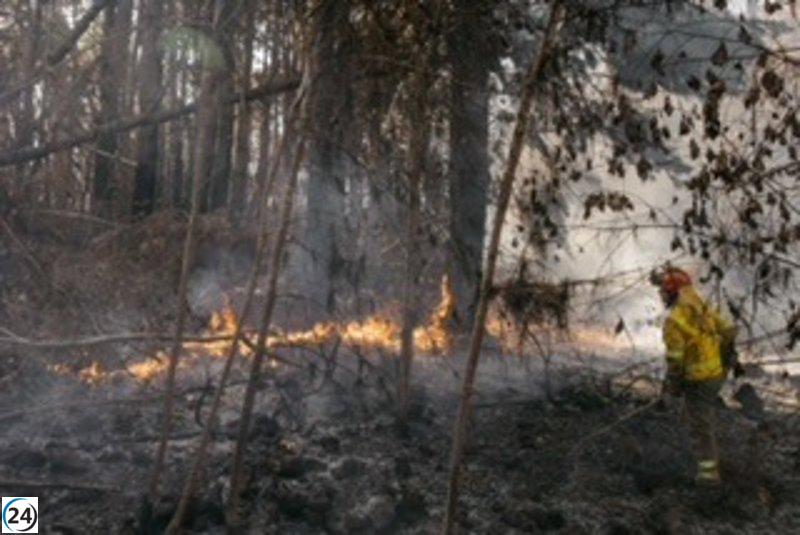 Exitosamente se consigue sofocar dos reavivaciones del fuego en Tenerife, específicamente en los municipios de La Orotava y La Matanza.