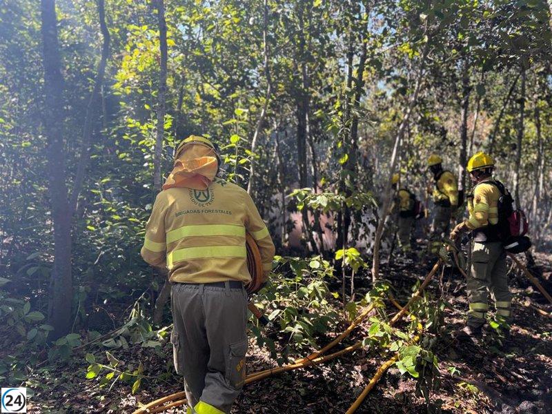 Clasificación del incendio de Tenerife desciende al nivel 1 otorgando responsabilidad al Cabildo.