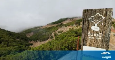 La ruta del agua en la isla de El Hierro