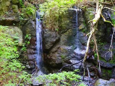La ruta de las cascadas en La Gomera