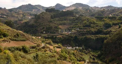 Caminando por el Parque Rural de Doramas en Gran Canaria