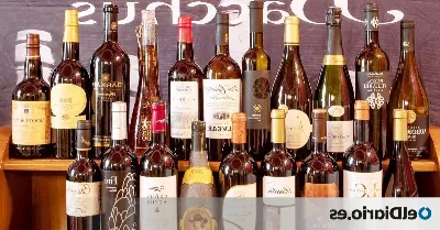 Descubre la calidad de los vinos canarios
