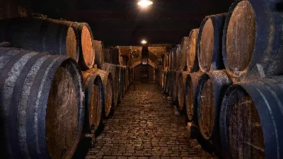 La evolución del vino canario a través de los años