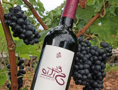 El legado de los viticultores canarios