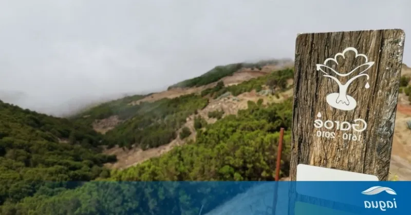 La ruta del agua en la isla de El Hierro