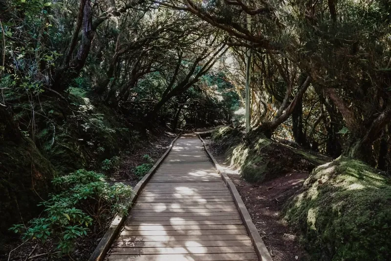 Senderismo en el Parque Natural de Anaga en Tenerife