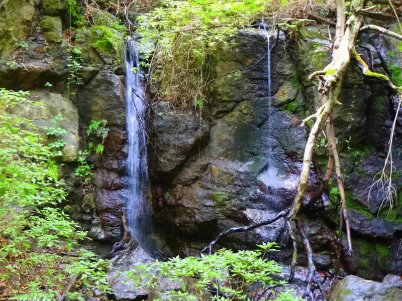 La ruta de las cascadas en La Gomera