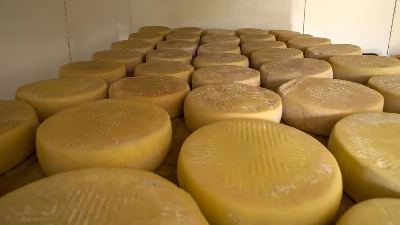 Queso de cabra, el queso típico de Canarias que debes probar