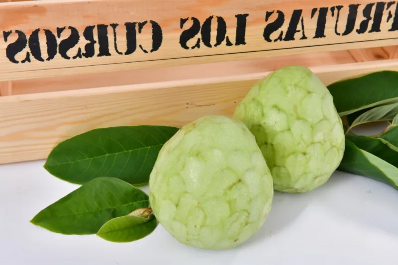 Chirimoya, una fruta tropical típica de las Islas