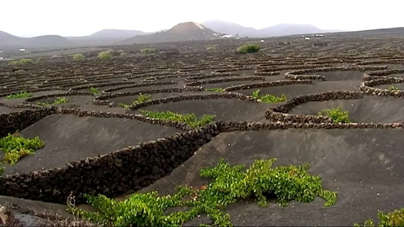 El volcán de Tacande: la cuna de la producción de vino