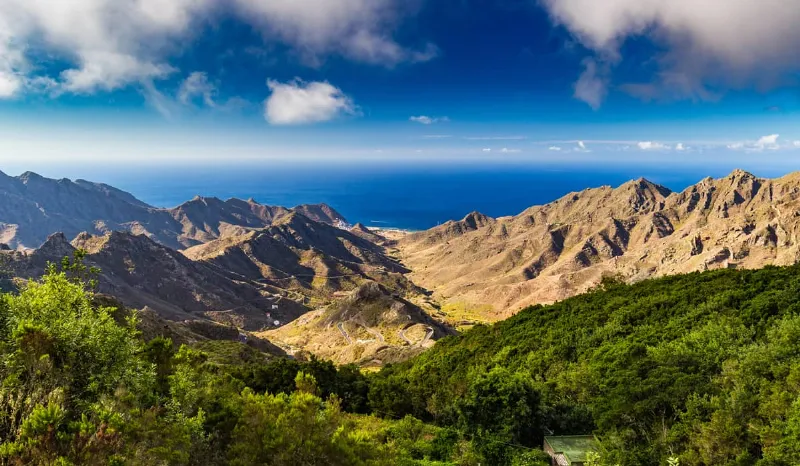 El clima subtropical de las Canarias