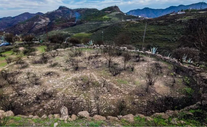 Los tesoros ocultos de la artesanía canaria