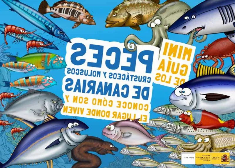 Admira la gran variedad de peces de Canarias