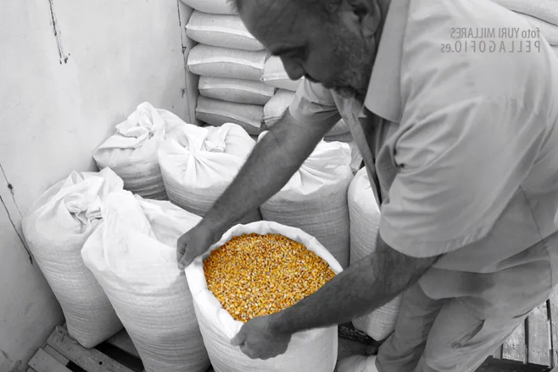 La alimentación de los aborígenes canarios: una mirada al pasado